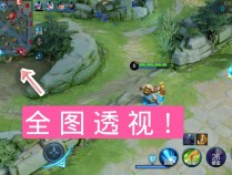 王者荣耀透视客户端防封版