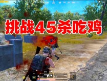 和平精英七情参数模拟器游戏简介(和平精英七仔)